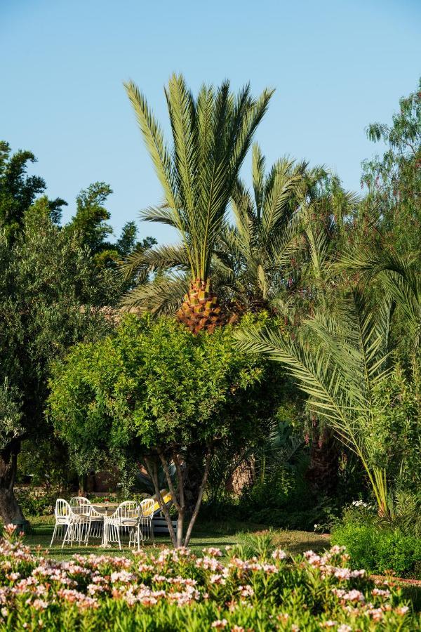 Pavillon Terra Ababila En Exclusivite Villa Marrakesh Eksteriør billede