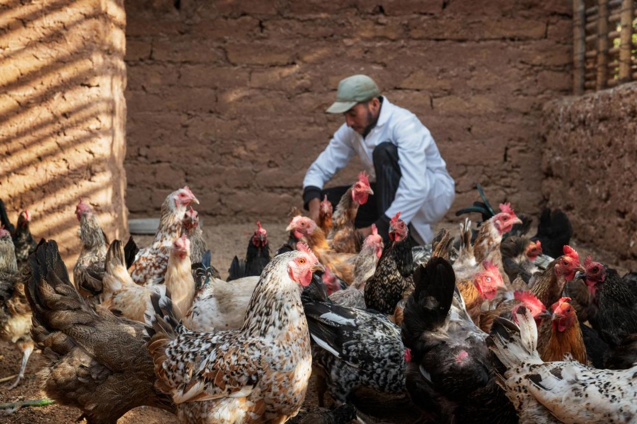 Pavillon Terra Ababila En Exclusivite Villa Marrakesh Eksteriør billede